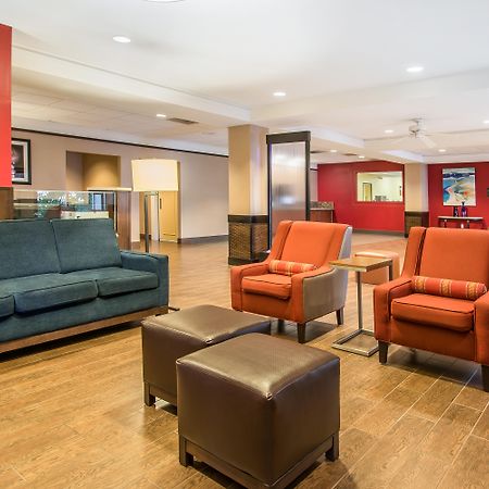 Comfort Inn & Suites Kissimmee By The Parks Four Corners Ngoại thất bức ảnh